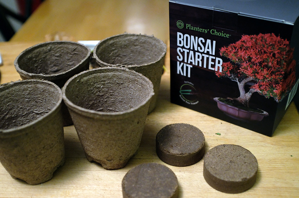 Planters’ Choice Bonsai Starter Kit FirstLook RainyDayMagazine